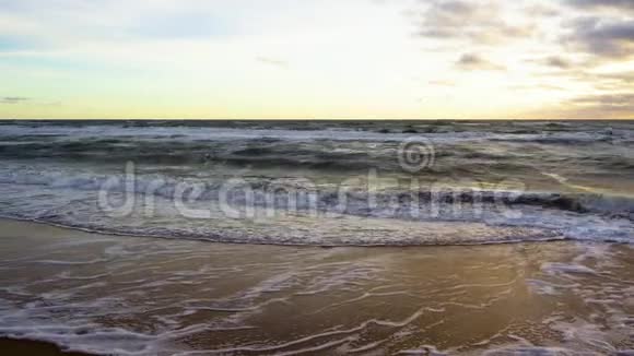 小浪在沙滩上翻滚视频的预览图