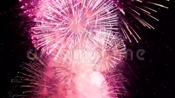 彩色烟火灯爆特写耀眼的烟花正放射着夜空节日和庆祝背景视频的预览图
