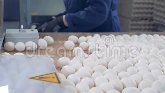 农场工人把鸡蛋放进包装侧面看视频的预览图