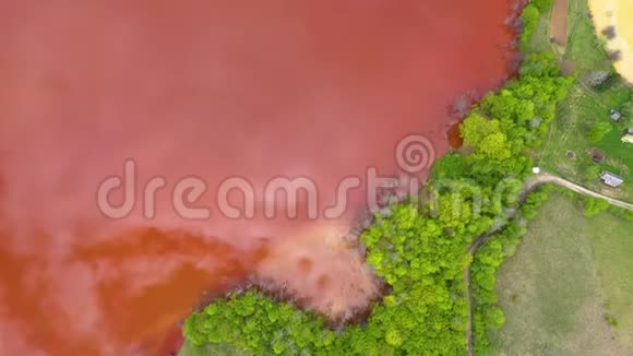 与清新的绿色森林形成对比的彩色红色铜矿废水空中4k景观视频的预览图