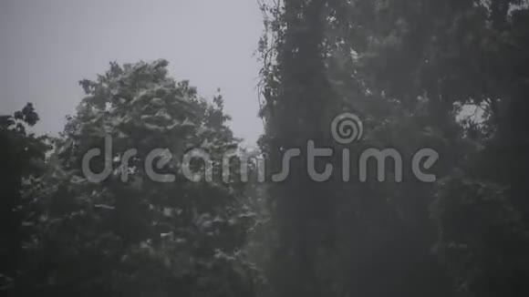 哈里森县的雷雨在农场视频的预览图