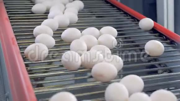 许多鸡蛋在传送带上新鲜鸡蛋在一家家禽养殖场排队视频的预览图
