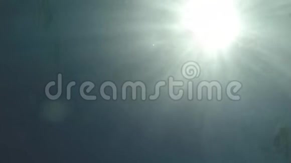 人类从上到下在闪烁的太阳光的背景下在海里游泳视频的预览图