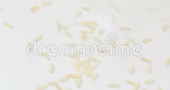 水稻落在白色背景下视频的预览图