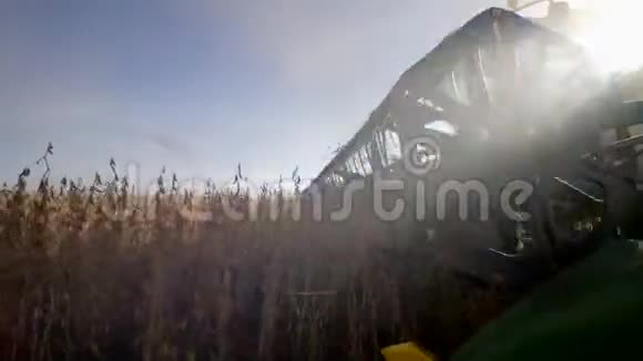 农业设备在灰尘收获大豆在田间接近秋季季节视频的预览图