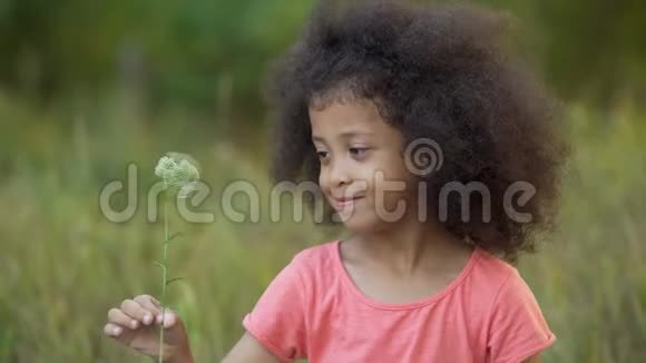 小寂寞的孩子站在花园里玩小白花视频的预览图