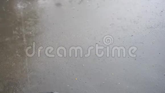 雨点落在沥青上视频的预览图