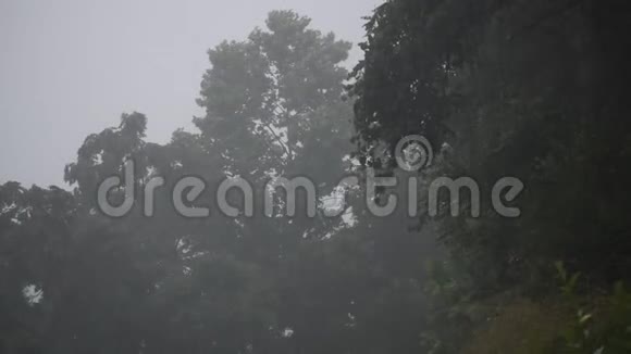 哈里森县的雷雨在农场视频的预览图