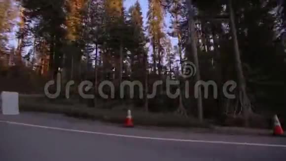 约塞米蒂森林的过马路和停车标志视频的预览图