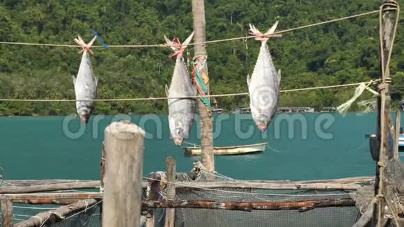 泰国泰国德黑兰KOOD2019年11月17日泰国KohKood岛上的港口渔船视频的预览图