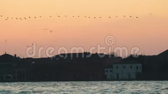 一群鸟飞过粉红色的夕阳天空历史建筑和港口的背景视频的预览图