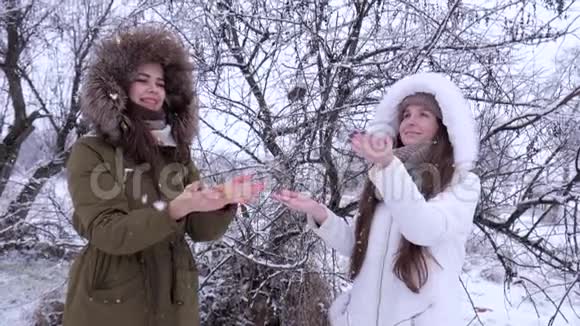 冬天迷人的女人喜欢初雪和欢笑视频的预览图