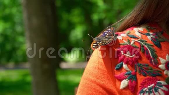 蝴蝶坐在一个年轻女孩的肩膀上一只美丽的蝴蝶在休息视频的预览图