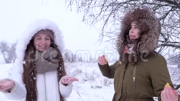 雪的欢乐女朋友在树枝上摇雪视频的预览图