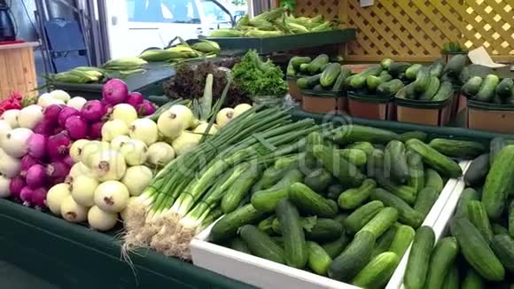 农贸市场上的新鲜蔬菜视频的预览图