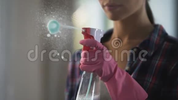 女主人熟练地用新的清洁剂擦拭玻璃上的污渍视频的预览图