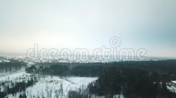一片冬林和远处的一个村庄从高处看视频的预览图
