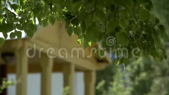 绿色农场房屋景观视频的预览图