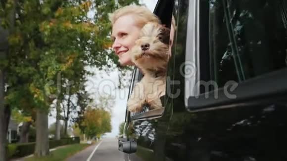 一个带着狗的女人一起从车窗外看带着宠物概念旅行视频的预览图