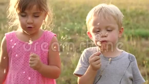 两个孩子在夏天吹蒲公英视频的预览图