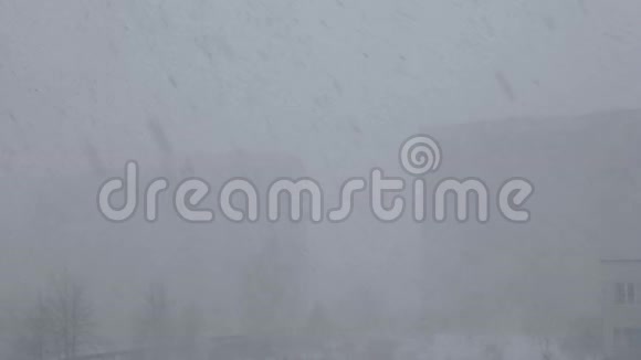 冬天城市里大雪和狂风视频的预览图