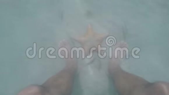 人类的双脚站在海底海星附近在沙质的海底自然光加勒比海视频的预览图