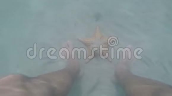 人类的双脚站在海底海星附近在沙质的海底自然光加勒比海视频的预览图