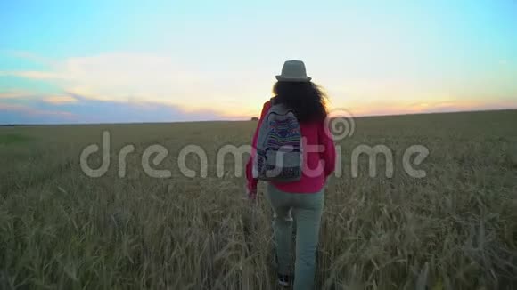 夏日夕阳下女游客漫步麦田徒步旅行者女人戴着帽子背着背包徒步旅行女孩视频的预览图