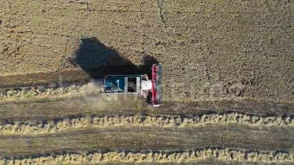联合收割机在收割场收获成熟玉米的空中景观视频的预览图