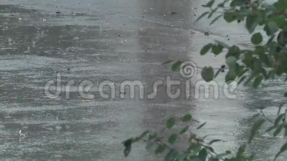 雨滴掉进水坑里视频的预览图