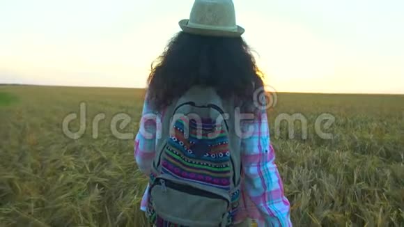 夏日夕阳下女游客漫步麦田徒步旅行者女人戴着帽子背着背包徒步旅行女孩视频的预览图