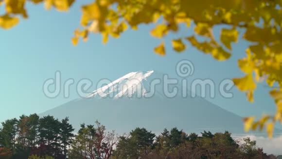 富士山顶部被明亮的黄色秋叶环绕视频的预览图