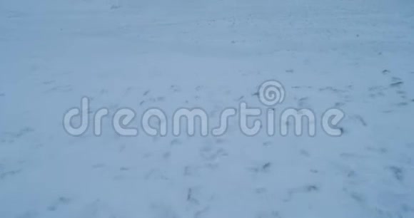 亚马尔蒙古包在晚上从顶部捕获无人机4k视频的预览图