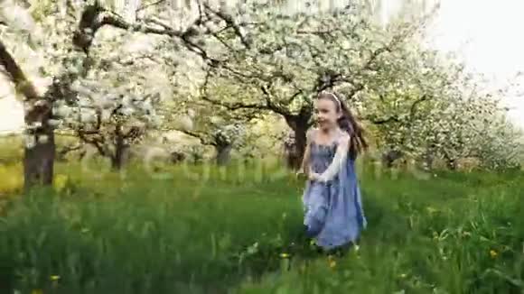 小女孩穿过开花的花园视频的预览图
