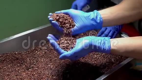 可可食品的质量控制制作巧克力的过程视频的预览图