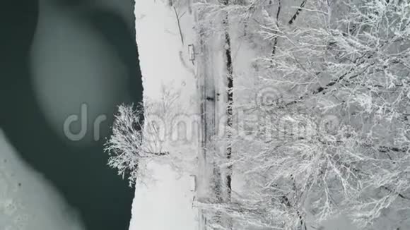 高空俯视图年轻夫妇在公园里散步冬季可爱的夫妇在冬季公园散步视频的预览图