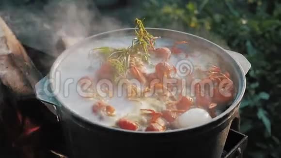 小龙虾在水中用香料和草药烹饪热煮小龙虾龙虾特写上景视频的预览图