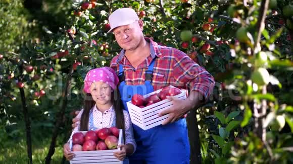在农场花园里摘苹果在炎热阳光明媚的秋天农民父亲和女儿的家庭画像视频的预览图