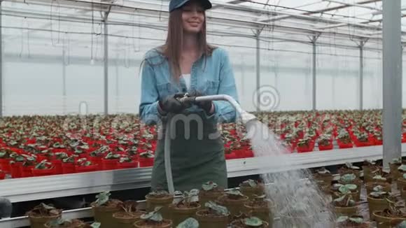 快乐的女性园丁水域植物和花与一个Hosepipe在阳光工业温室视频的预览图