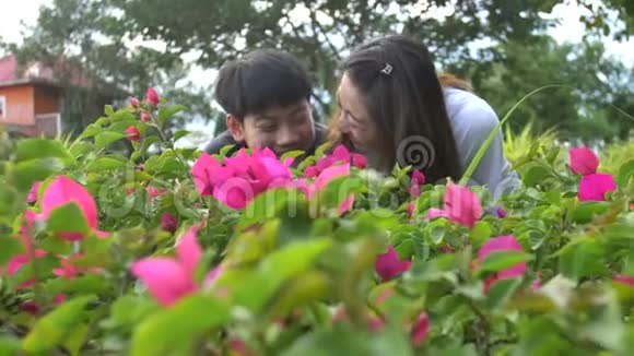 快乐的亚洲家庭母子看着粉红色的花记录手持式慢速运动在4K在60fps视频的预览图
