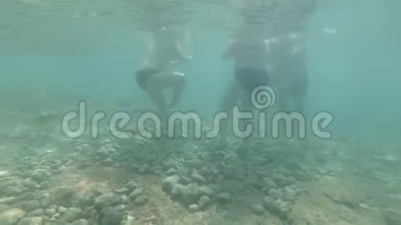 水下肥胖的男女在蓝海中游泳视频的预览图
