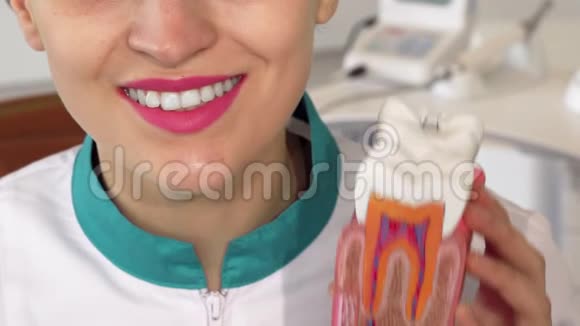 女牙医微笑着拿着牙模对着镜头视频的预览图