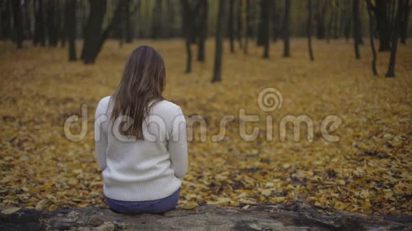 独自坐在秋天公园的女孩想着过去和破碎的关系视频的预览图