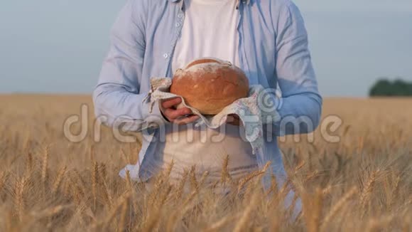 在秋天人们手牵着面包用白毛巾把烤好的面包在成熟的大麦谷地上烤熟视频的预览图