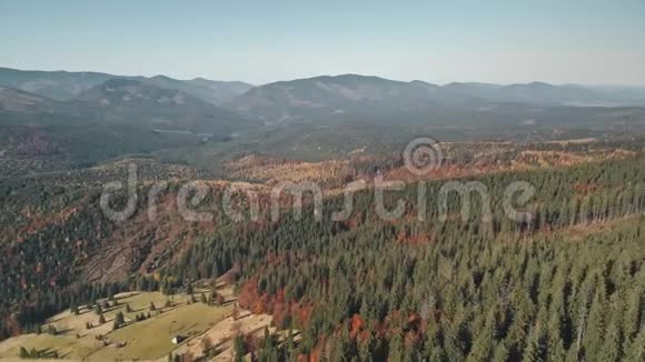 棕色的秋草地和松树林覆盖着高山视频的预览图