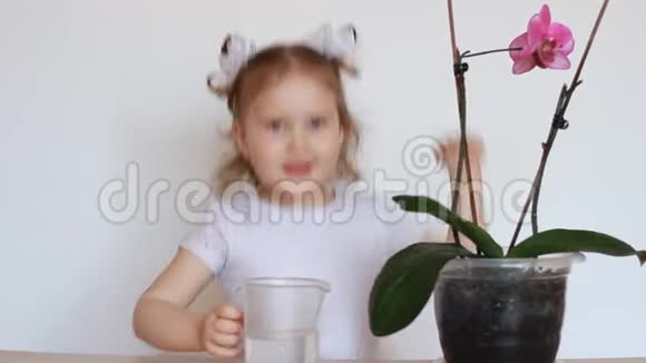 女婴和绿色植物兰一个孩子在浇花视频的预览图