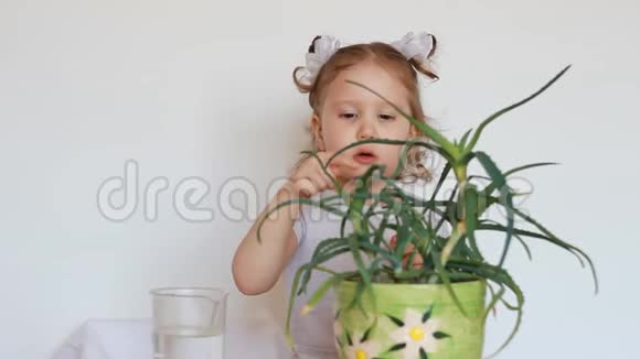 这朵花是芦荟那个女婴刺了刺儿童和带刺仙人掌视频的预览图