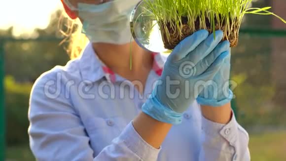 戴着护目镜和面具的女科学家通过放大镜检查土壤和植物的样本视频的预览图