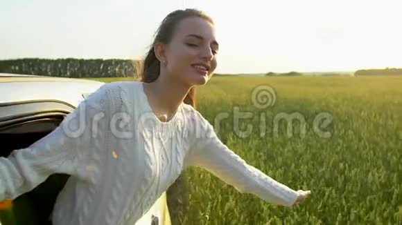 快乐年轻的旅行微笑美丽的年轻女子在夏天的自然麦田享受公路旅行女孩抱着胳膊放视频的预览图