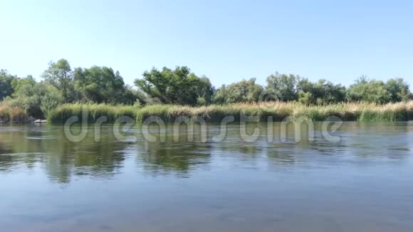 亚利桑那盐河对岸有树木和灌木丛的广阔的盐河景色视频的预览图